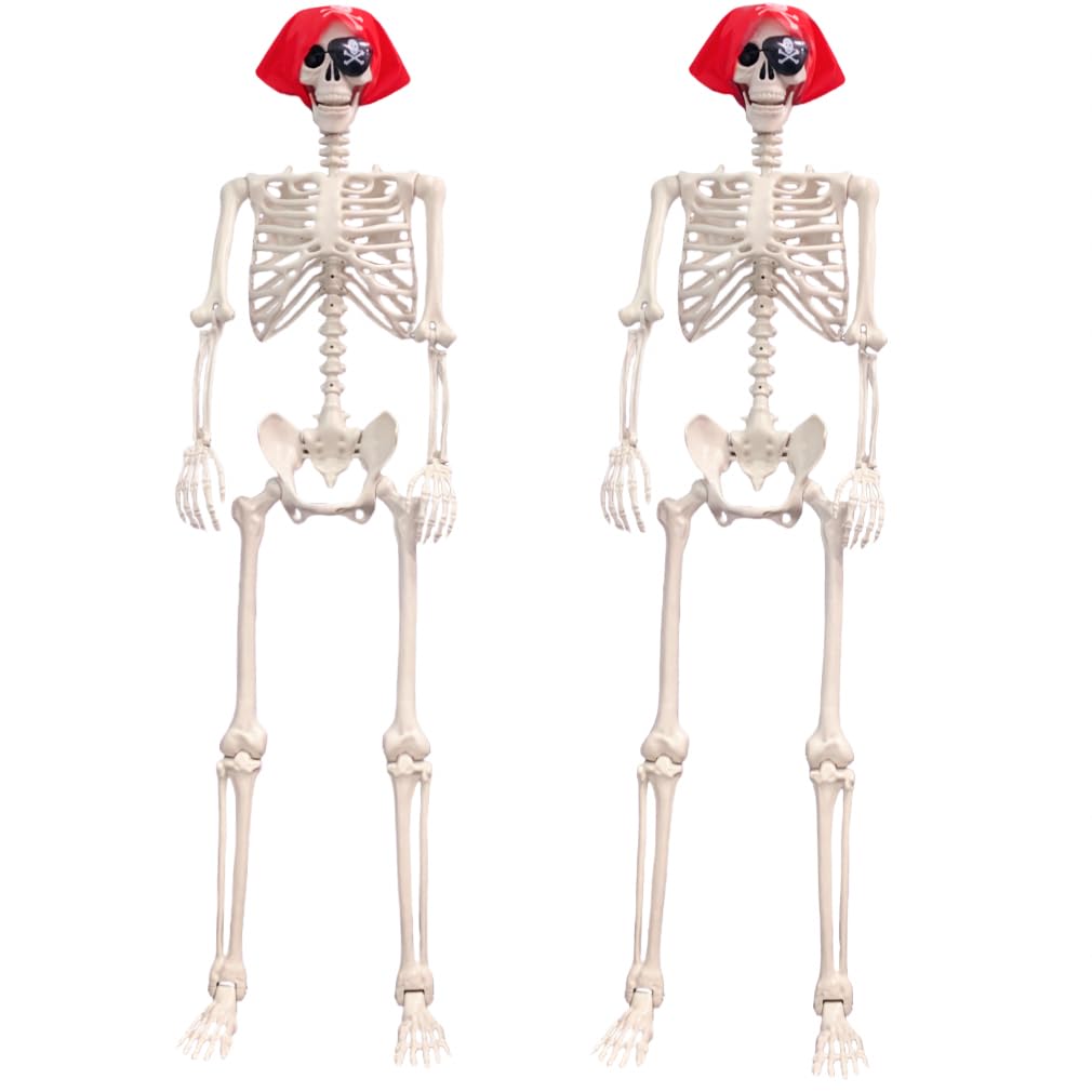 Life Size Posable Skeleton Decoration W697011