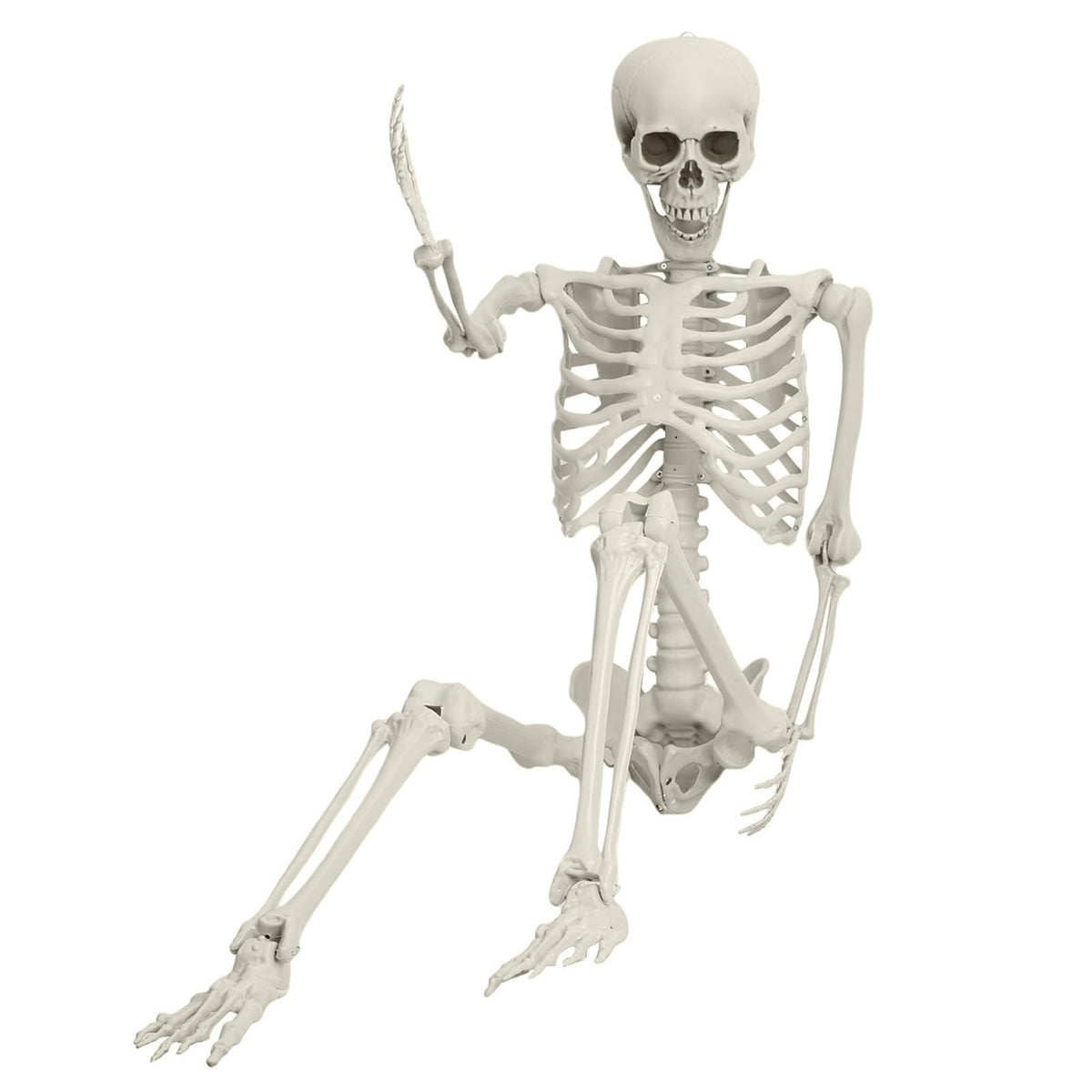 5.4ft Posable Life Size Skeleton G752126