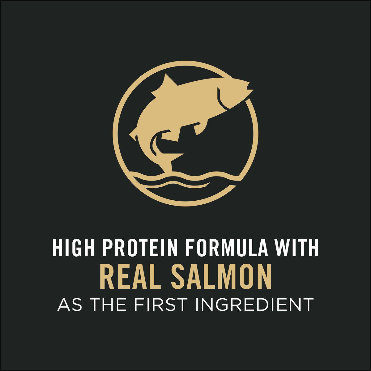 High Protein Salmon & Rice Dog Food 17 lb Bag O4764
