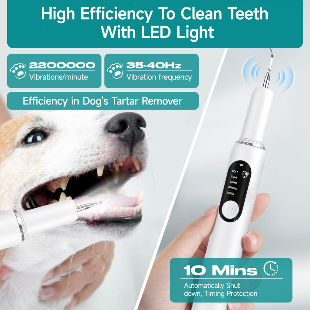 Dog Teeth Cleaning Kit with LED Light 5 Adjustable Modes Electric Toothbrush W2837