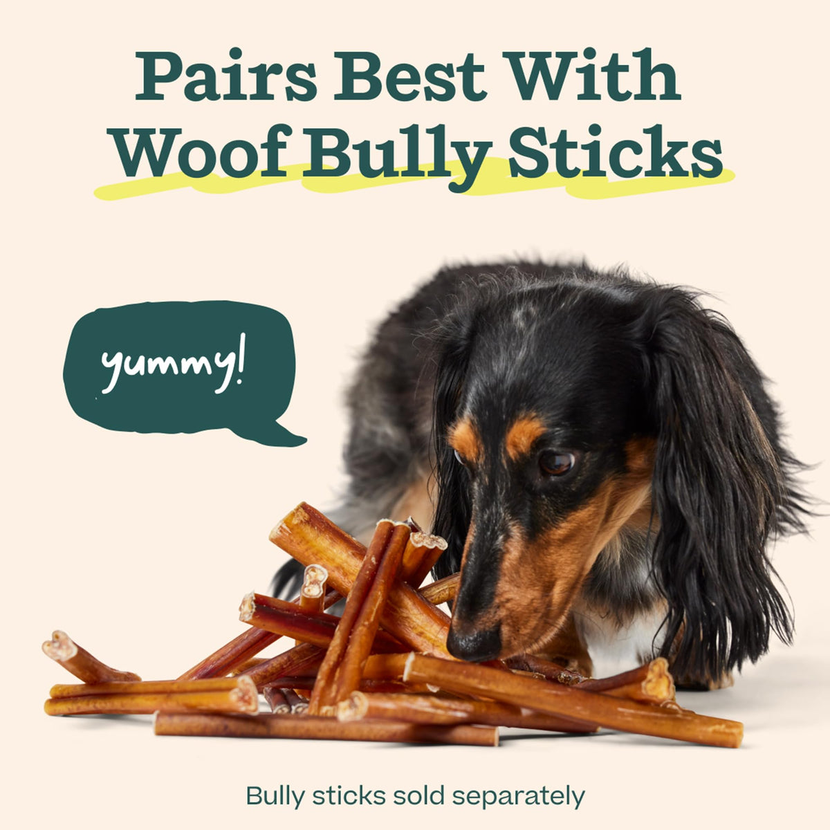 Bully Stick Holder for Dogs M842579