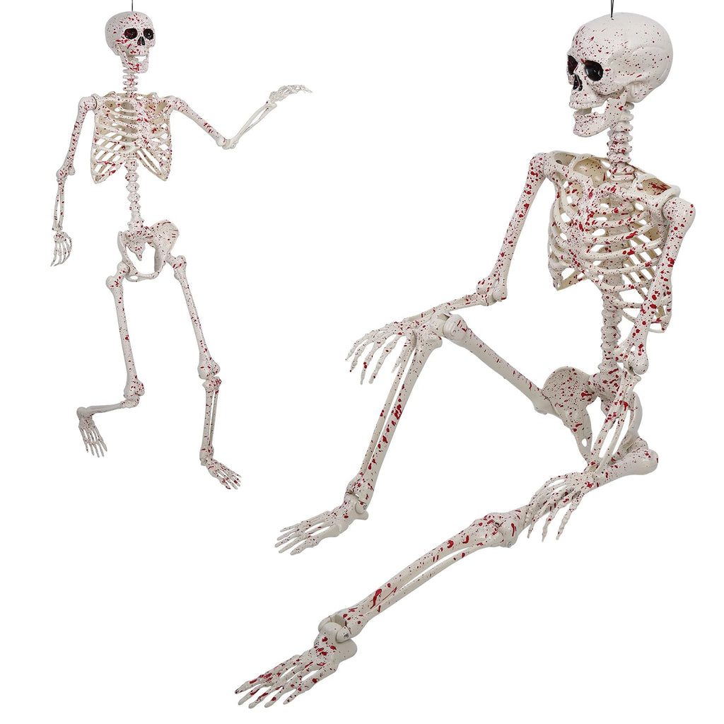 Life Size Posable Skeleton Z7611