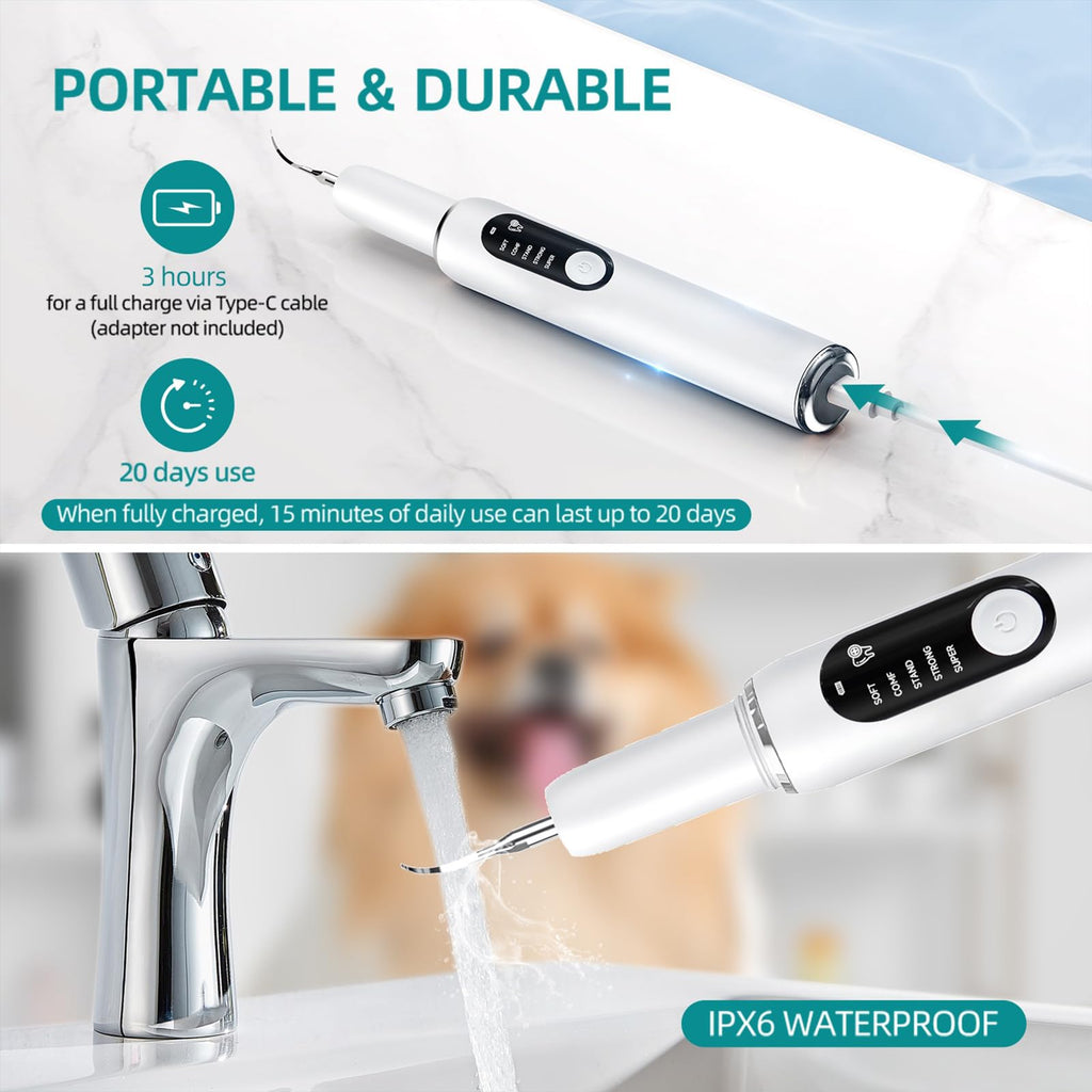 Dog Teeth Cleaning Kit with LED Light 5 Adjustable Modes Electric Toothbrush W2837