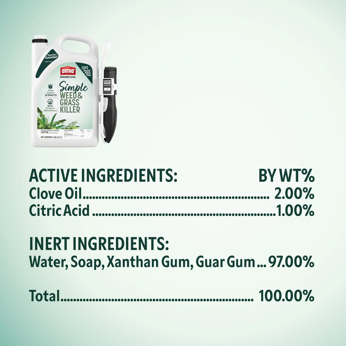 Weed & Grass Killer with Comfort Wand, 1 gal. M999992