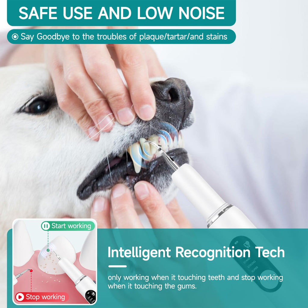 Dog Teeth Cleaning Kit with LED Light 5 Adjustable Modes Electric Toothbrush W2837