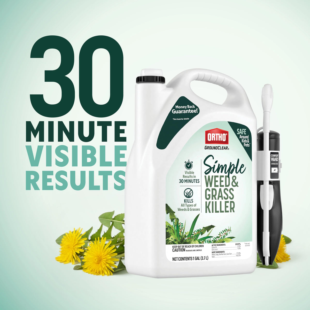 Weed & Grass Killer with Comfort Wand, 1 gal. M999992
