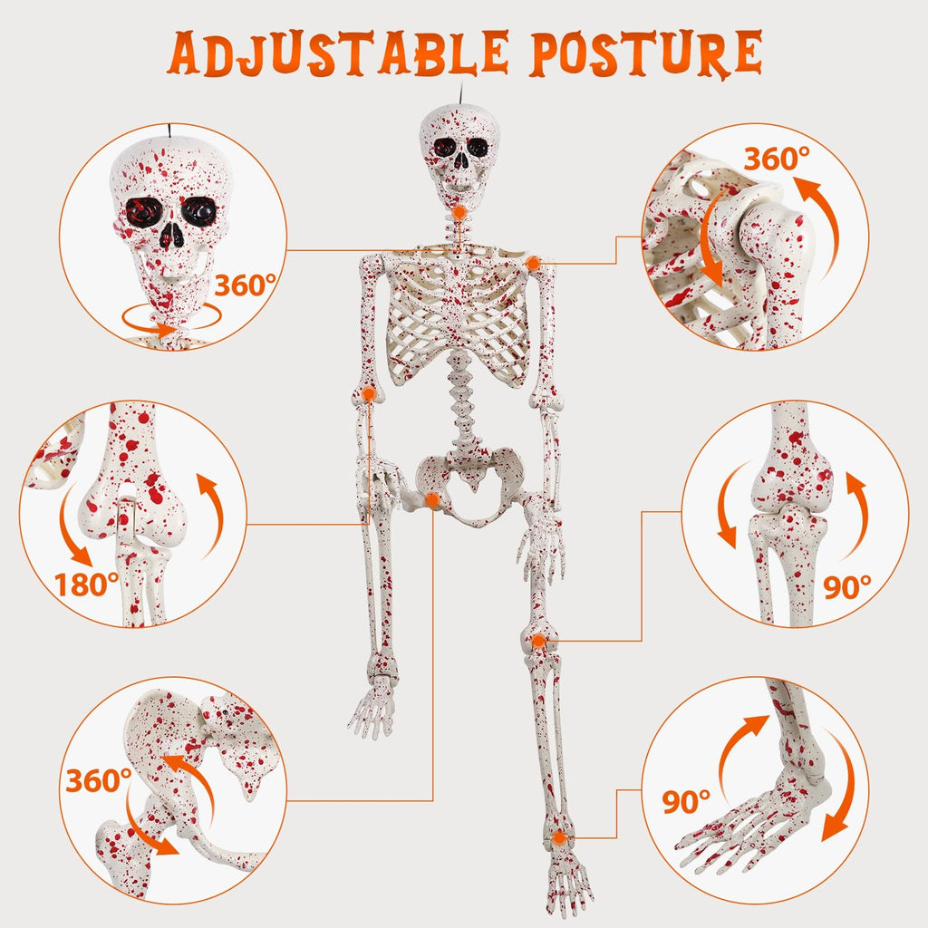 Life Size Posable Skeleton Z7611