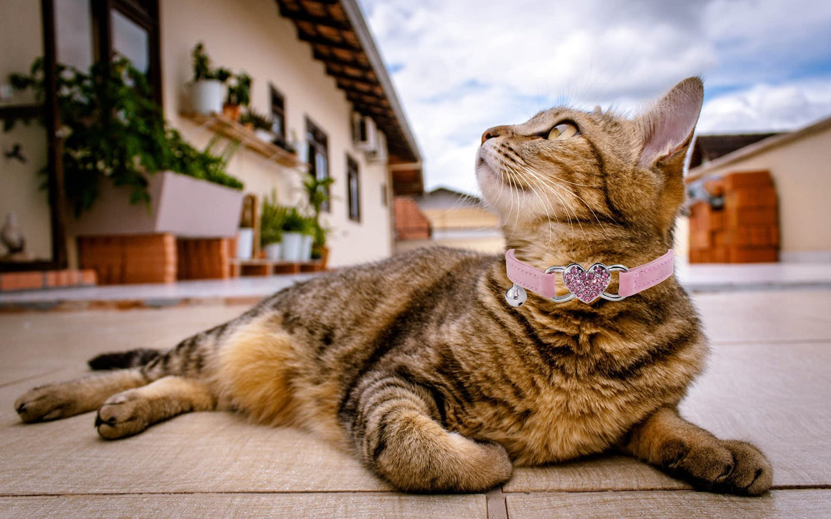 Pink Cat Collar with Safety Belt and Bell F5176