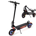 500W Electric Scooter with 10" Tires T590