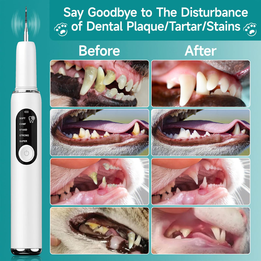 Dog Teeth Cleaning Kit with LED Light 5 Adjustable Modes Electric Toothbrush W2837