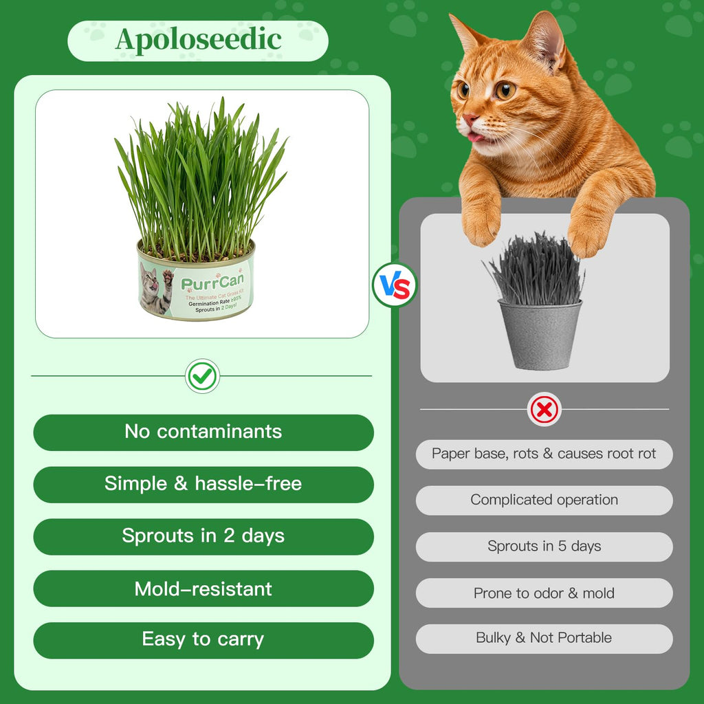 6 Cans Organic Wheat Cat Grass Growing Kit E97269