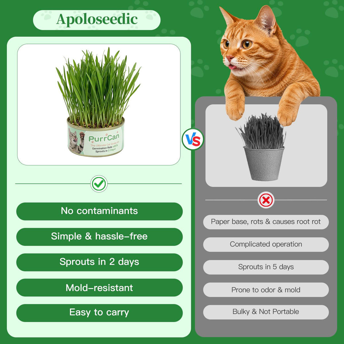 6 Cans Organic Wheat Cat Grass Growing Kit E97269