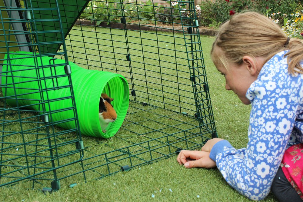 Green Flexible Bunny Warren Fun Tunnel W409858