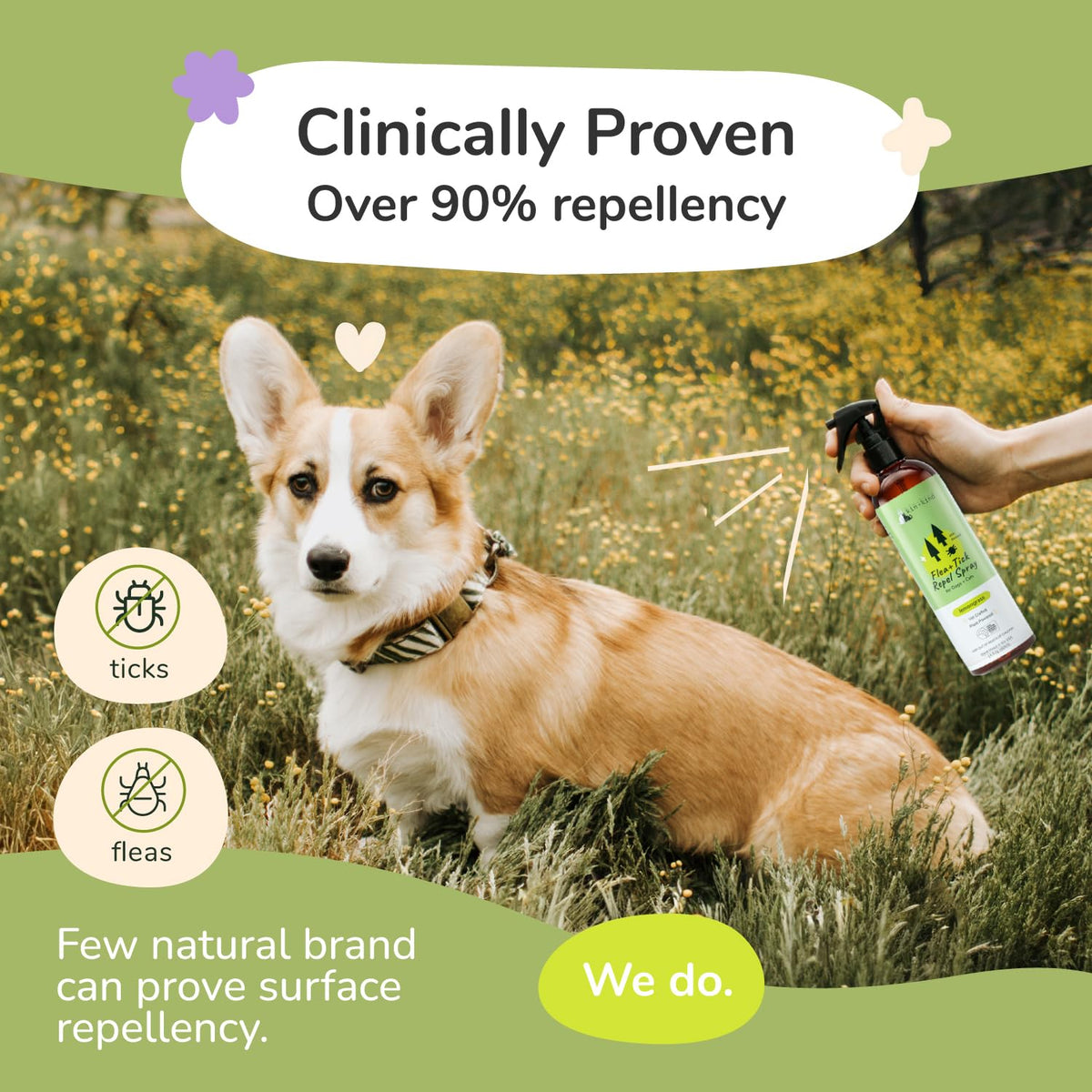 Lemongrass Flea & Tick Repel Coat Spray for Dogs & Cats 12 fl oz B985
