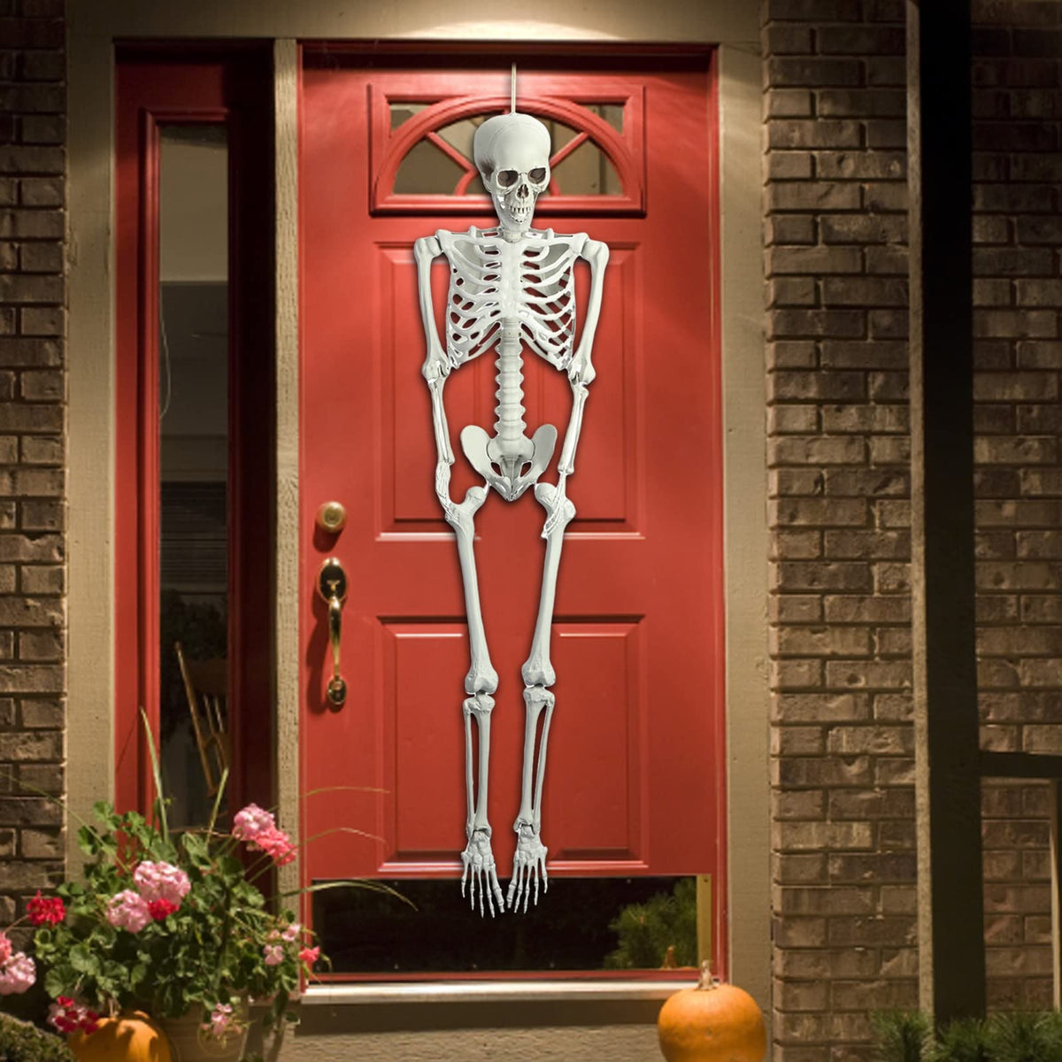5.4ft Posable Life Size Skeleton G752126