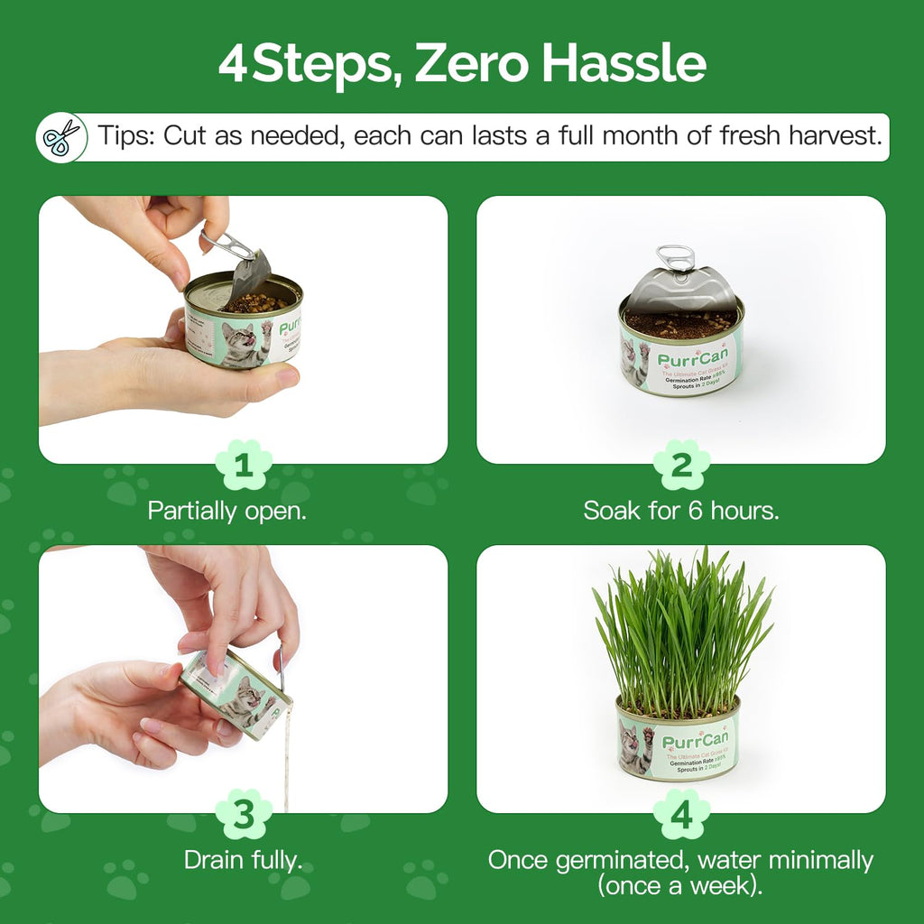 6 Cans Organic Wheat Cat Grass Growing Kit E97269