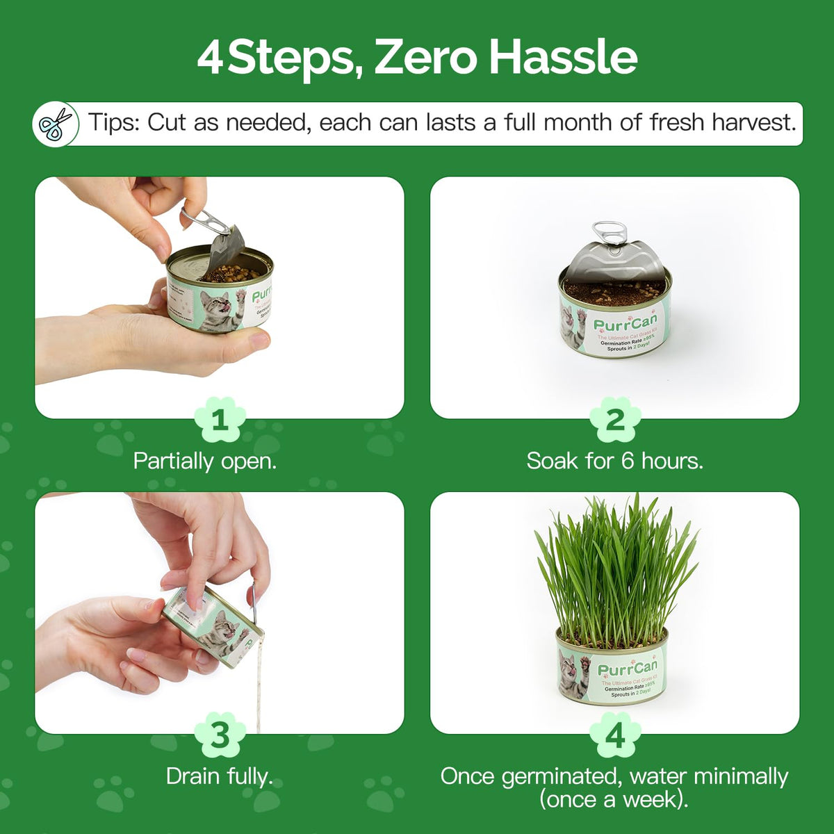 6 Cans Organic Wheat Cat Grass Growing Kit E97269