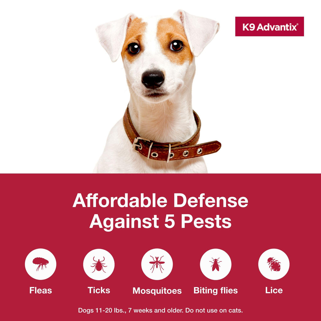 Flea and Tick Prevention Drops for Dogs 11-20 lbs K73004
