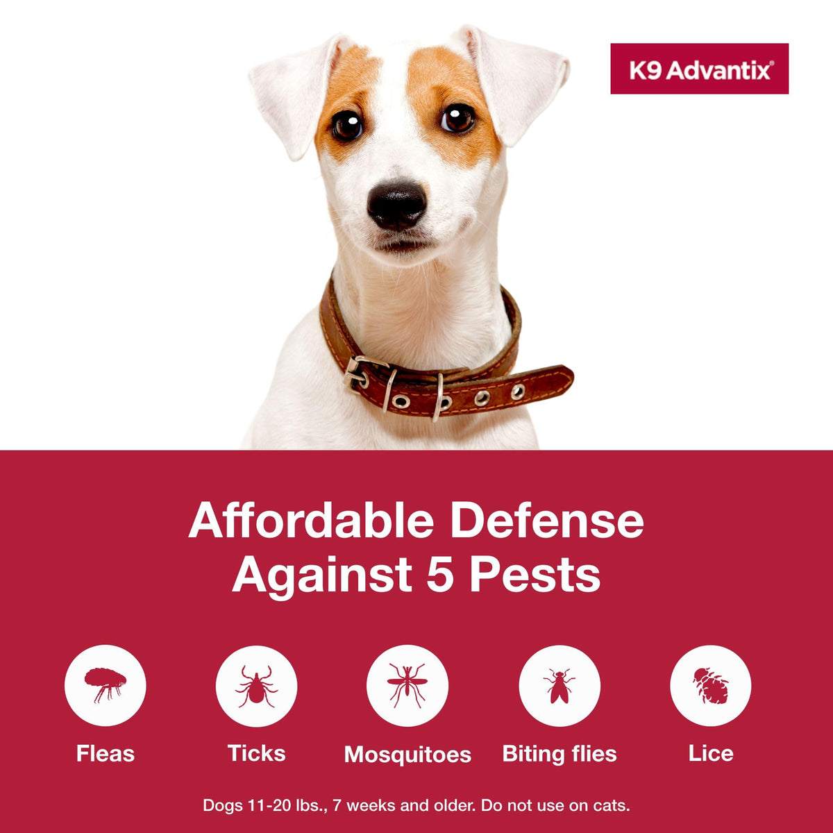 Flea and Tick Prevention Drops for Dogs 11-20 lbs K73004