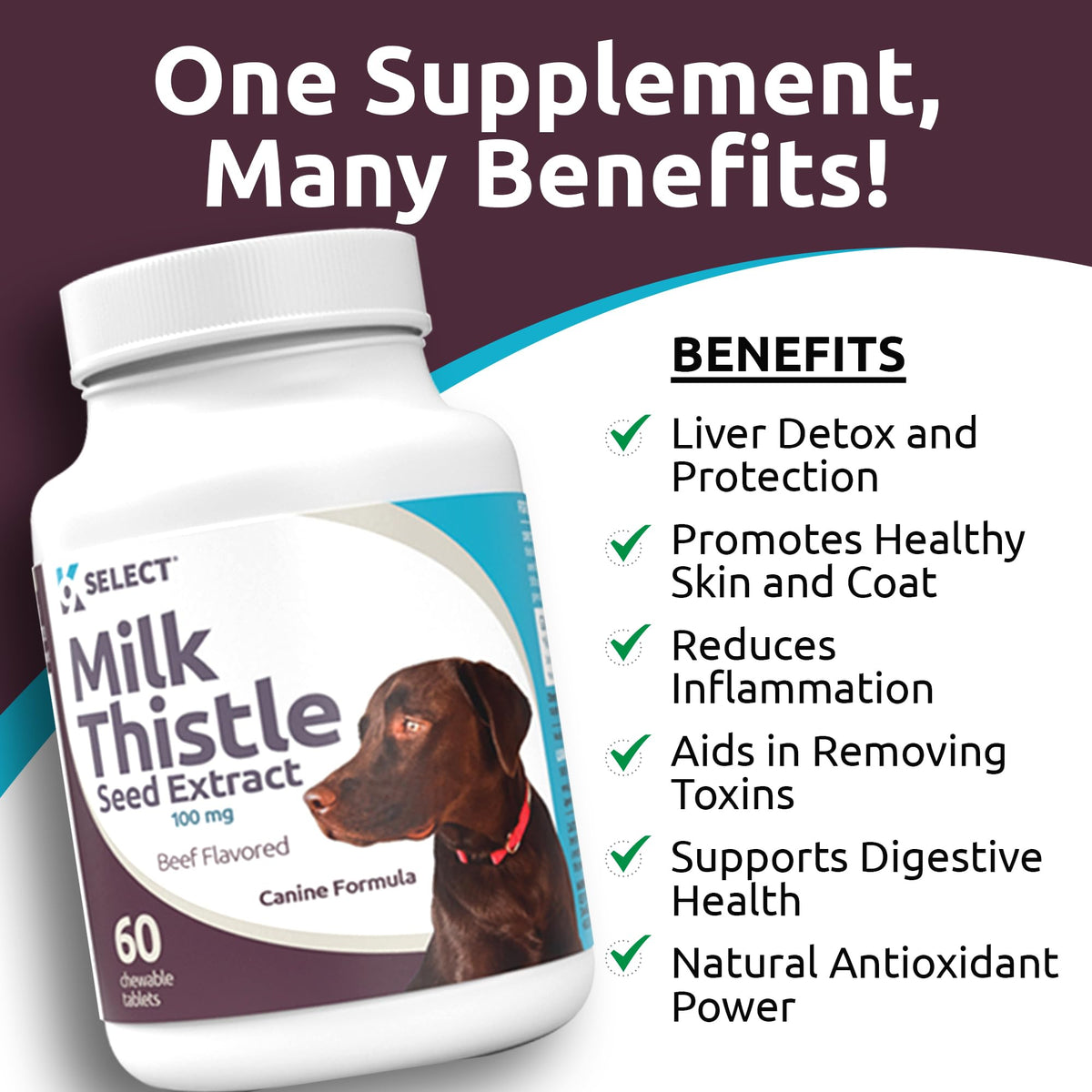 Milk Thistle Liver Support 60 Beef Chewable Tablets T408