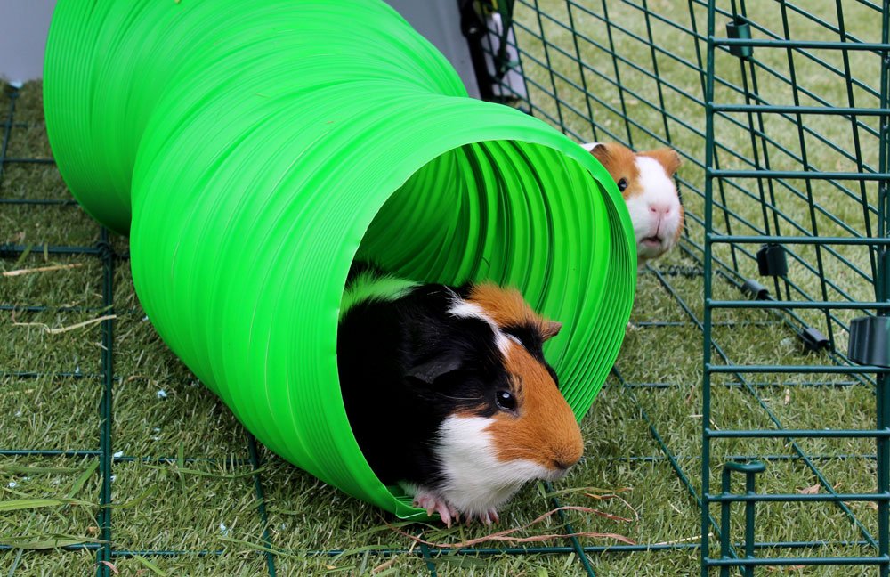 Green Flexible Bunny Warren Fun Tunnel W409858