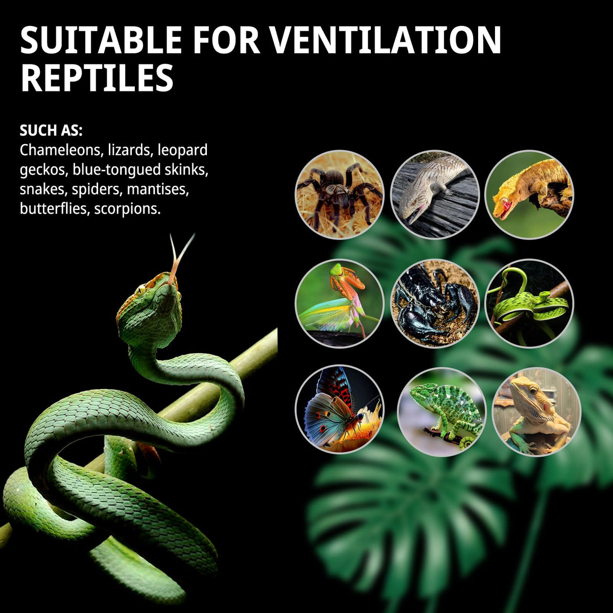 33 Gallon 26"x17"x17" Mesh Screen Reptile Enclosure S429349