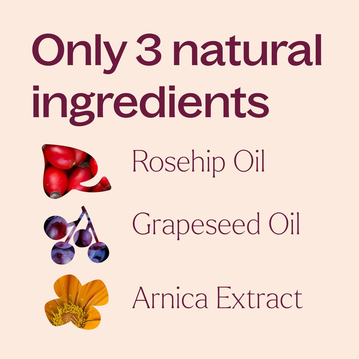 Rosehip & Arnica Facial Oil 1 oz E839110