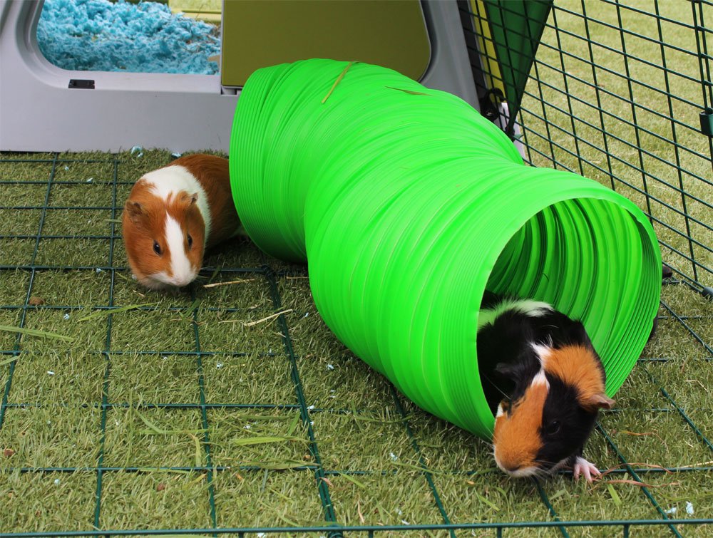 Green Flexible Bunny Warren Fun Tunnel W409858
