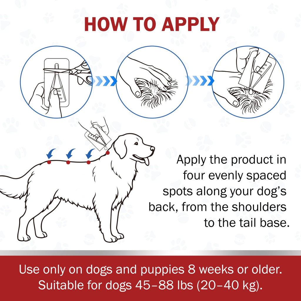 Large Dog Flea and Tick Prevention 6-Month Supply K332367