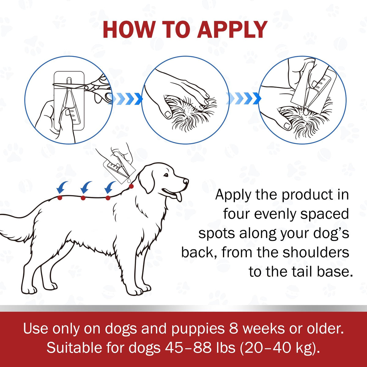 Large Dog Flea and Tick Prevention 6-Month Supply K332367