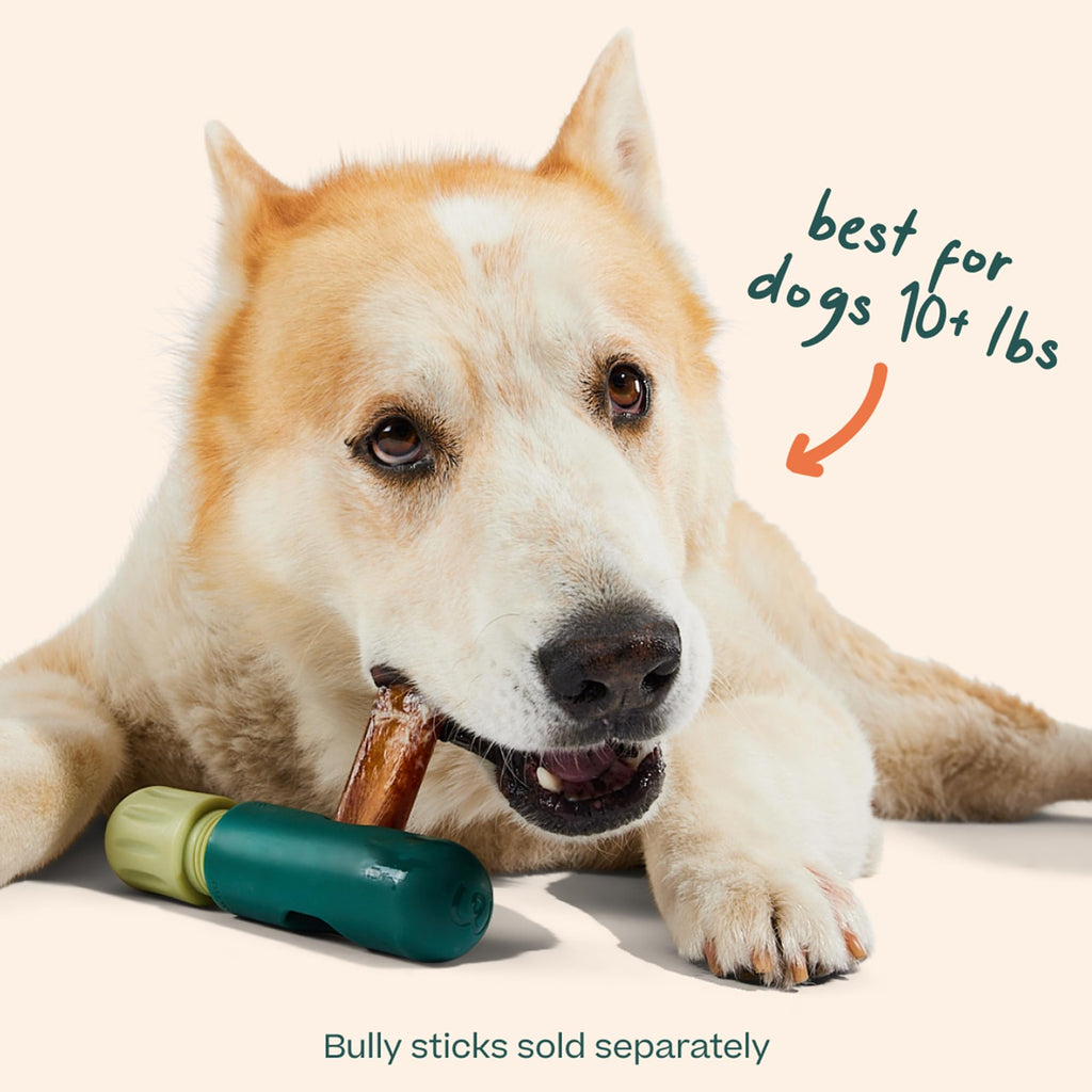 Bully Stick Holder for Dogs M842579