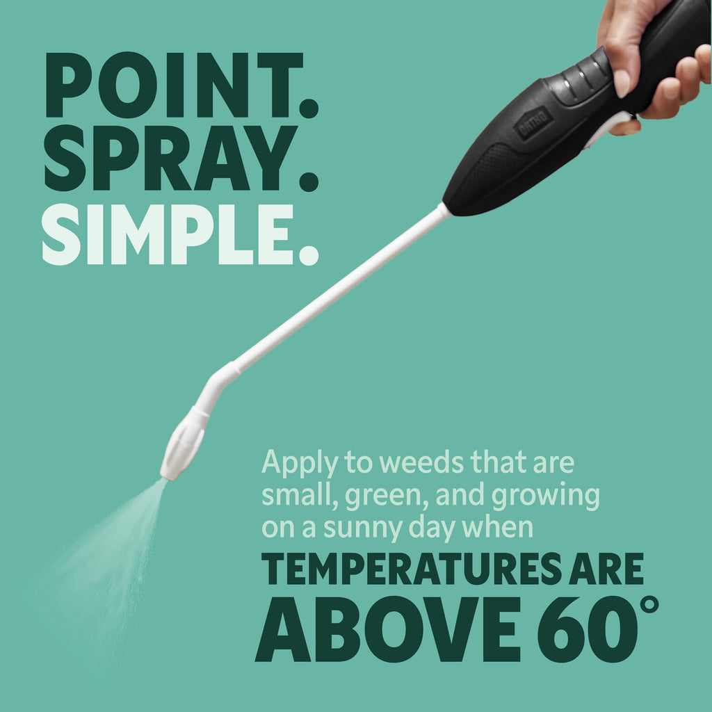 Weed & Grass Killer with Comfort Wand, 1 gal. M999992