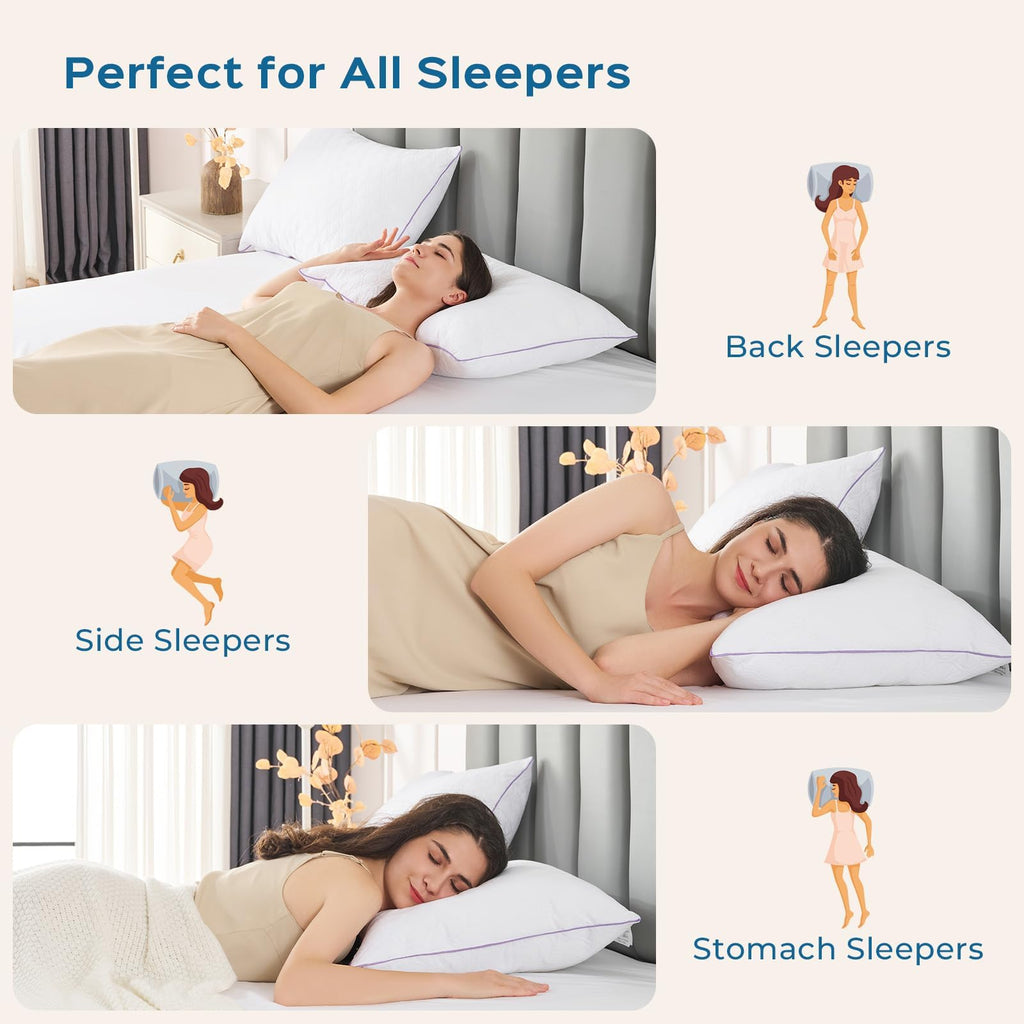 King Size Down Alternative Pillows Set of 2 I431