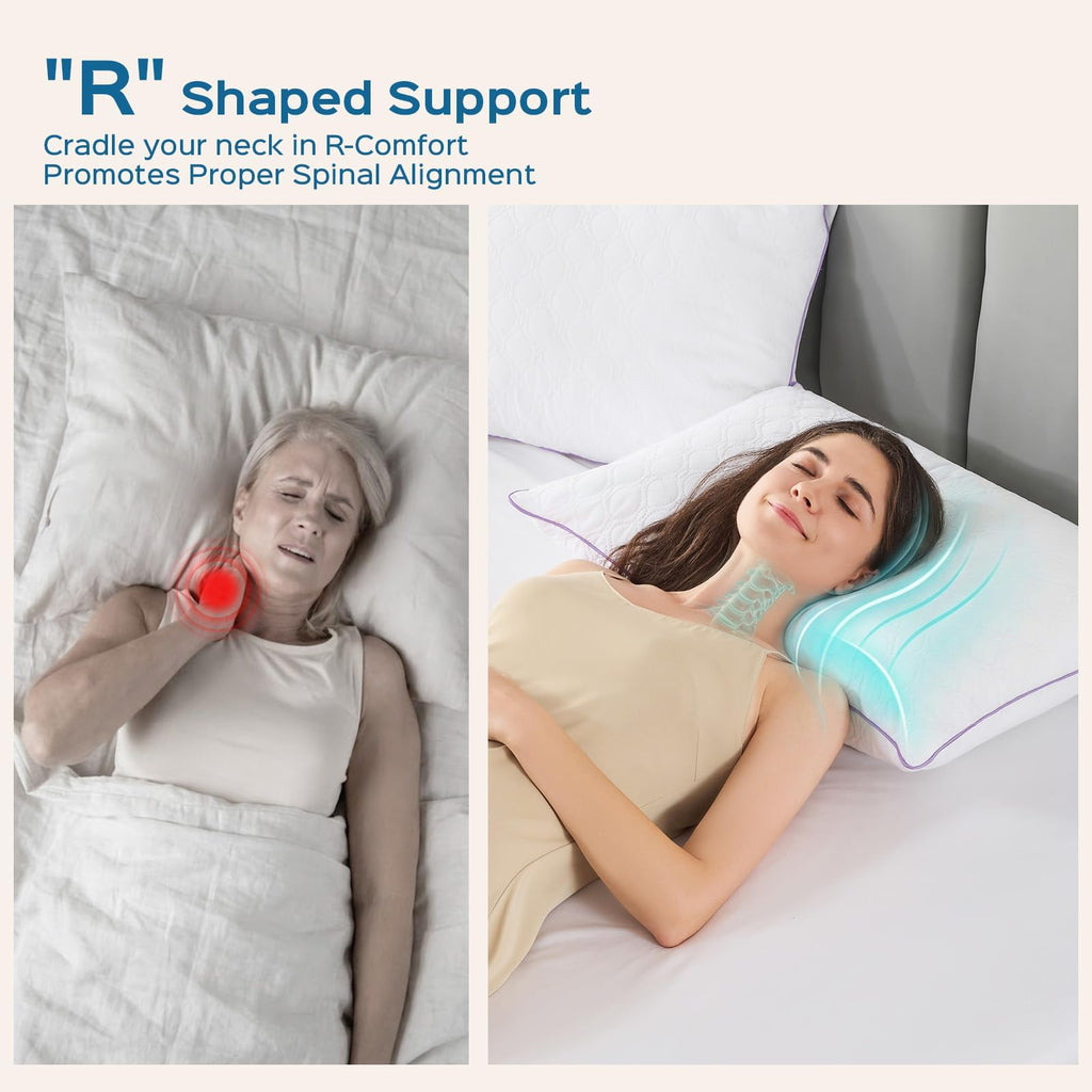 King Size Down Alternative Pillows Set of 2 I431
