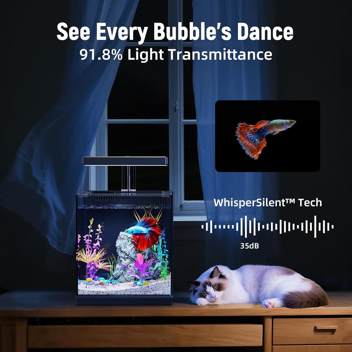 2 Gallon All-in-One Aquarium Kit with Filtration & LED Light Y38244