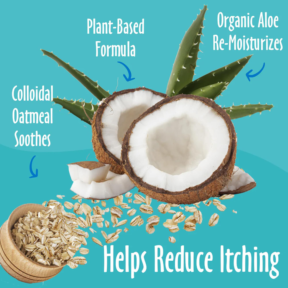 Oatmeal & Aloe Conditioner 16 Oz Z431123