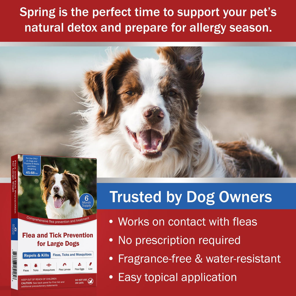 Large Dog Flea and Tick Prevention 6-Month Supply K332367