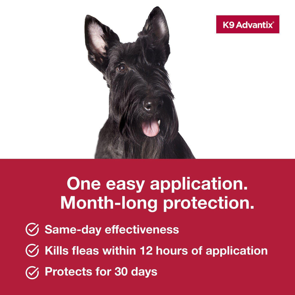 Flea and Tick Prevention Drops for Dogs 11-20 lbs K73004
