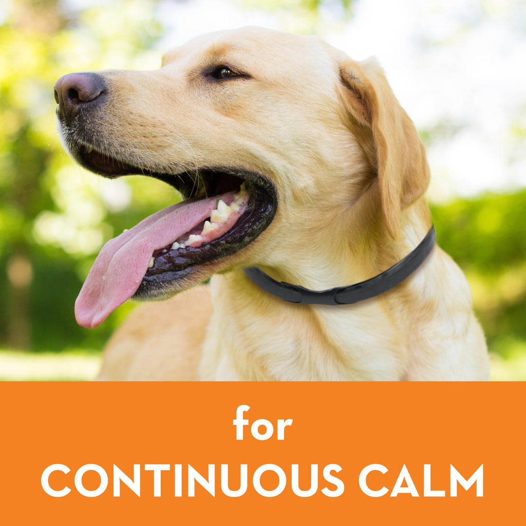 Calming Collar for Dogs (Large) E136