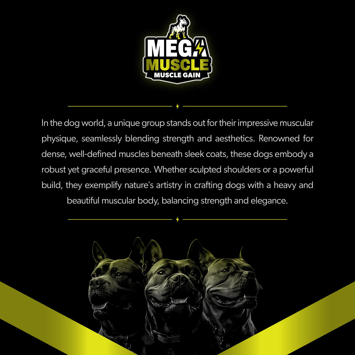 Chicken Flavor Dog Supplement R551616