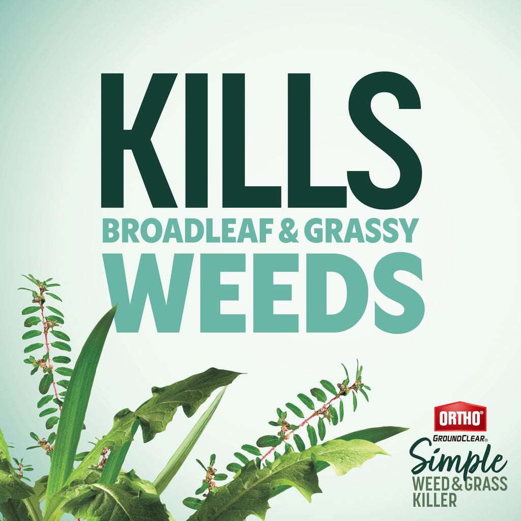 Weed & Grass Killer with Comfort Wand, 1 gal. M999992