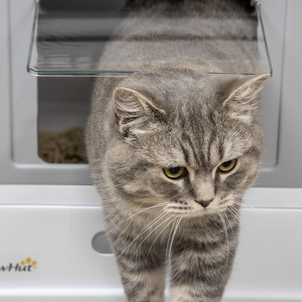 Fully Enclosed Cat Litter Box with Scoop A285