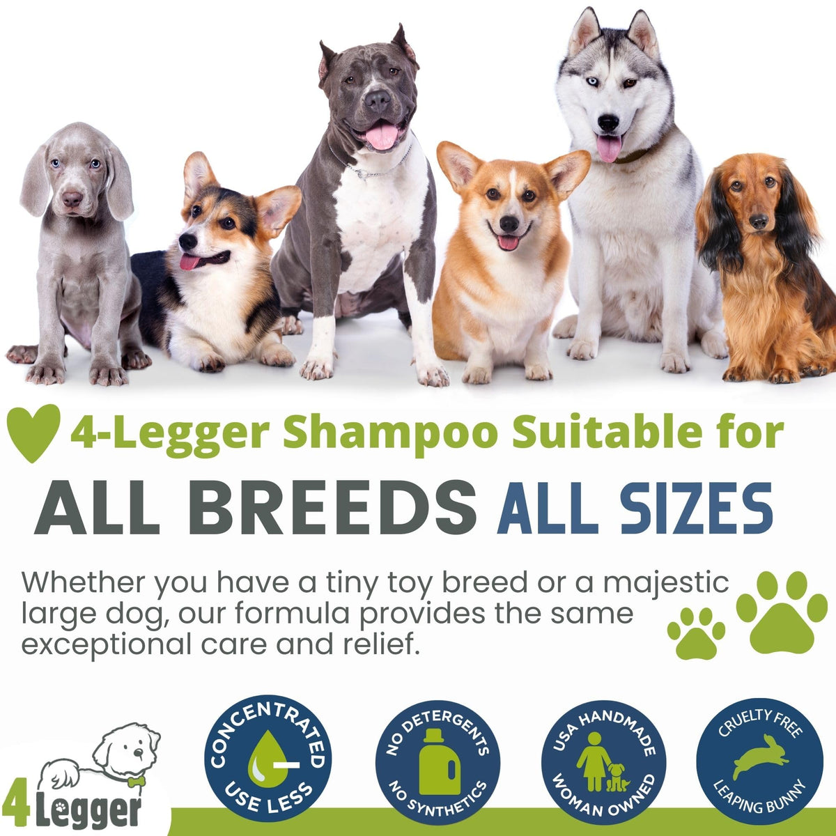 Certified Organic Hypoallergenic Dog Shampoo with Aloe and Lemongrass 16 oz A193276