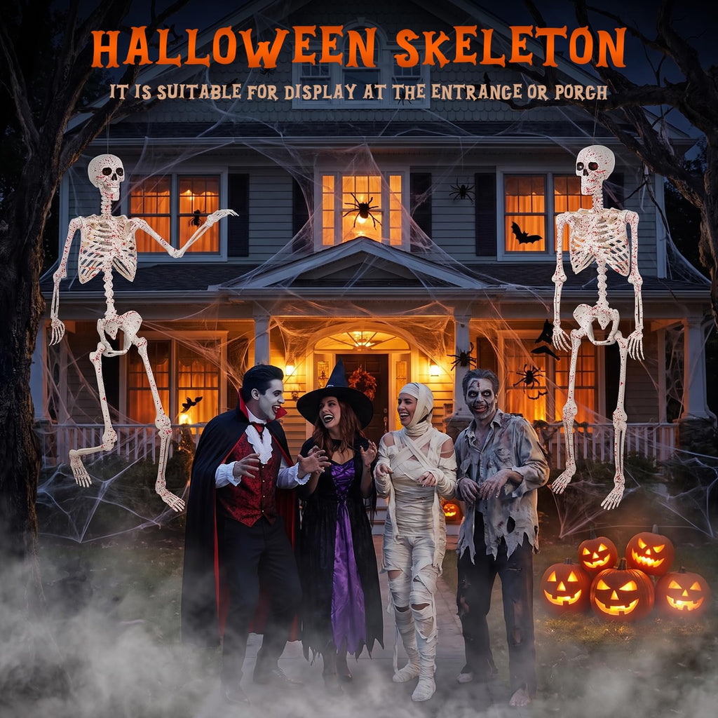 Life Size Posable Skeleton Z7611