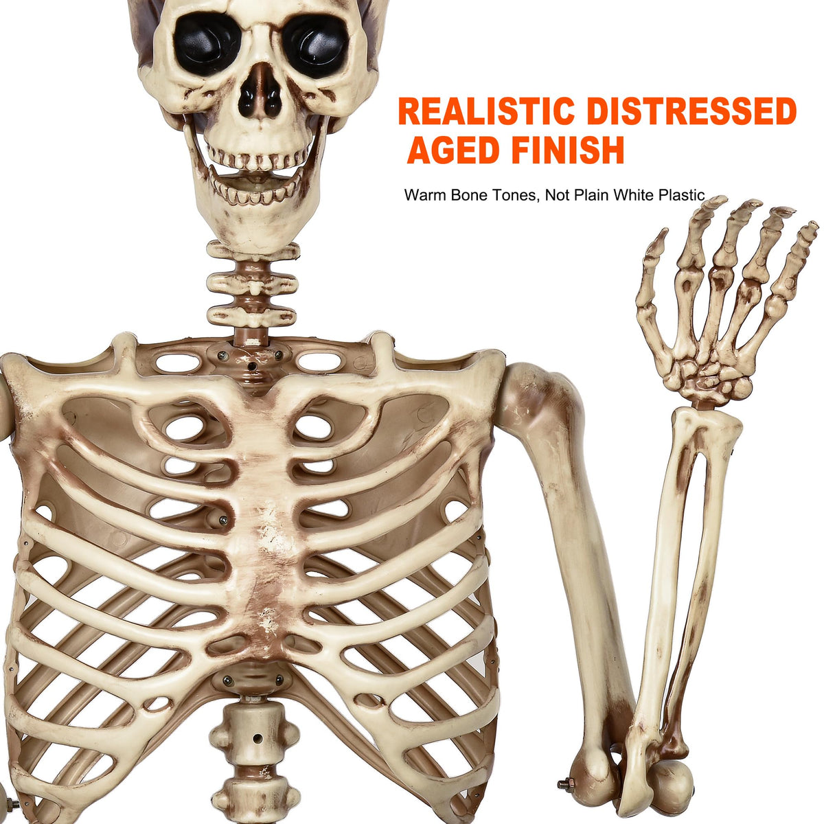 5.4ft Poseable Life Size Skeleton M2889