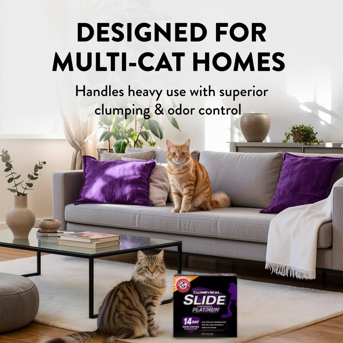 Clumping Cat Litter, 37 Lbs M784