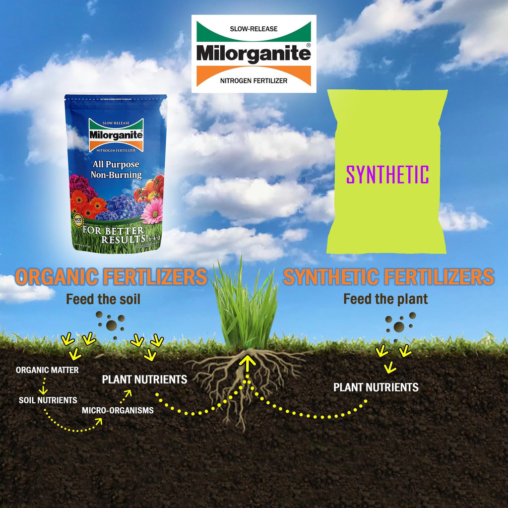 Slow-Release Nitrogen 6-4-0 Fertilizer, 5 Pound Bag (Pack of 4) T980
