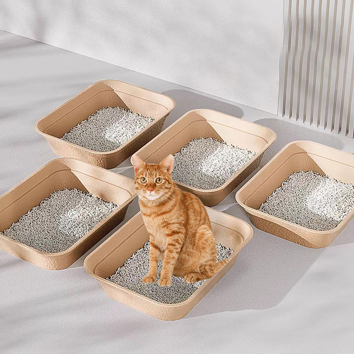 8 Pack Disposable Cat Litter Box G104464