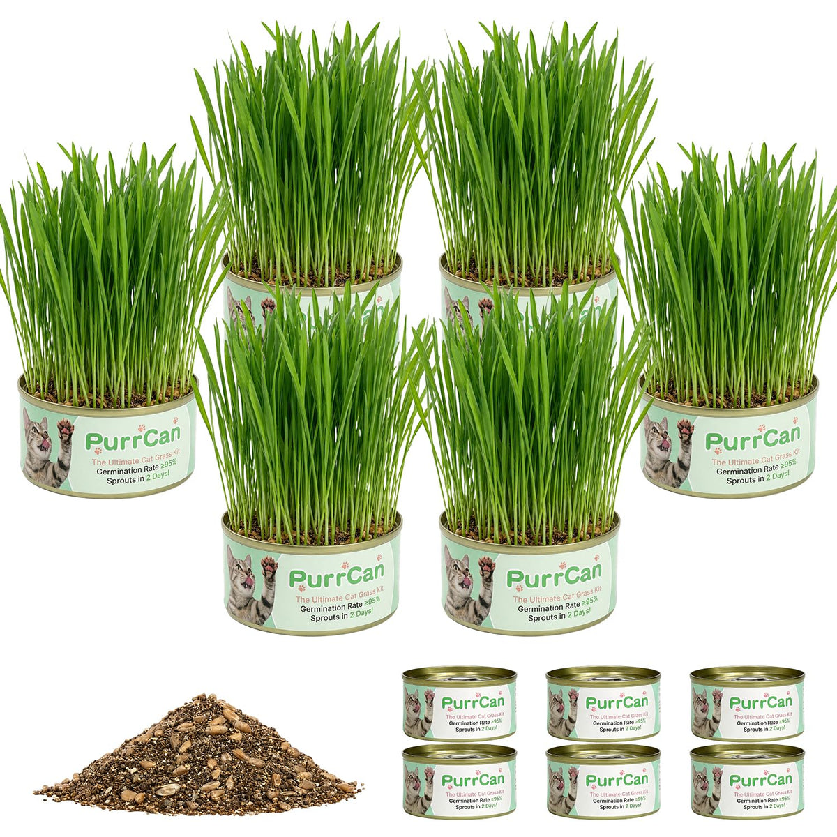 6 Cans Organic Wheat Cat Grass Growing Kit E97269