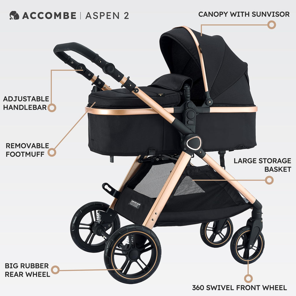 2-in-1 Convertible Baby Stroller E91086